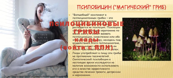 МДПВ Кодинск