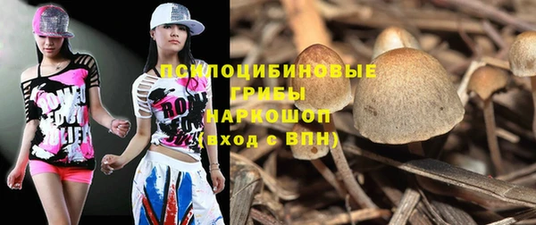 прущие крисы Козельск