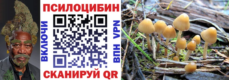 Псилоцибиновые грибы ЛСД  купить   Сычёвка 
